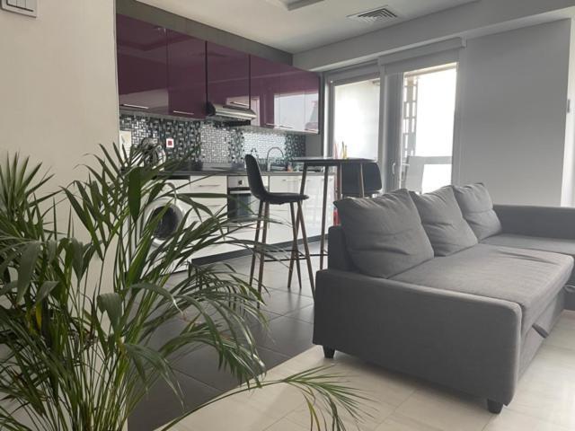דובאי Cayan Tower Luxury Apartment With Sea View מראה חיצוני תמונה